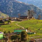 उत्तराखंड में यहाँ जांच करने पहुंची विजिलेंस, नगर निगम में घंटों खंगाले दस्तावेज, पटवारी से भी पूछताछ।