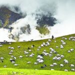 उत्तराखंड में चमोली जिला प्रशासन की 17 सदस्यीय टीम बाड़ाहोती रवाना, एक हफ्ते करेगी निरीक्षण।