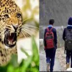 उत्तराखंड में गुलदार के आतंक से भीमताल क्षेत्र के स्कूल एक सप्ताह के लिए बंद।