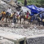 उत्तराखंड में केदारनाथ यात्रा से पहले घोड़ा-खच्चरों का पंजीकरण शुरू, बीमा शुल्क ज्यादा होने से संचालकों में रोष।