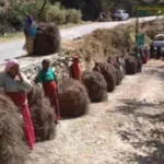 उत्तराखंड में पिरुल से बदलेगी तस्वीर, जंगल बचेंगे और आमदनी भी होगी।