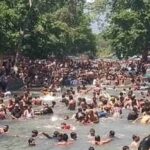 उत्तराखंड की राजधानी के लच्छीवाला नेचर पार्क में वाइल्ड समर कार्निवल, प्रकृति और रोमांच का दिखेगा संगम।