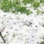 उत्तराखंड में भारी ओलावृष्टि से तबाह हुई फसलें, किसानों की मेहनत पर फिरा पानी।