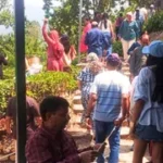 उत्तराखंड में कौसानी के चाय बागान मानसून में भी बने पर्यटकों की पहली पसंद, रिकॉर्ड तोड़ सैलानी पहुंचे।