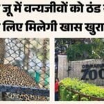 उत्तराखंड की राजधानी के जू: सर्दी से बचाने का मेन्यू तैयार, चिड़ियां खाएंगी बादाम, हिरण गुड़ तो भालू चबाएंगे मूंगफली।